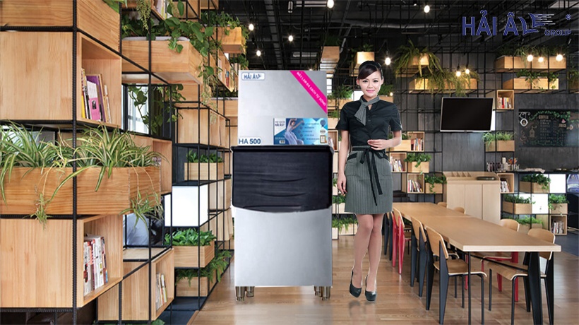 Máy làm nước đá 500kg Hải Âu được dùng cho nhiều quán cafe