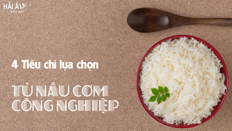 4 Tiêu Chí Lựa Chọn Tủ Cơm